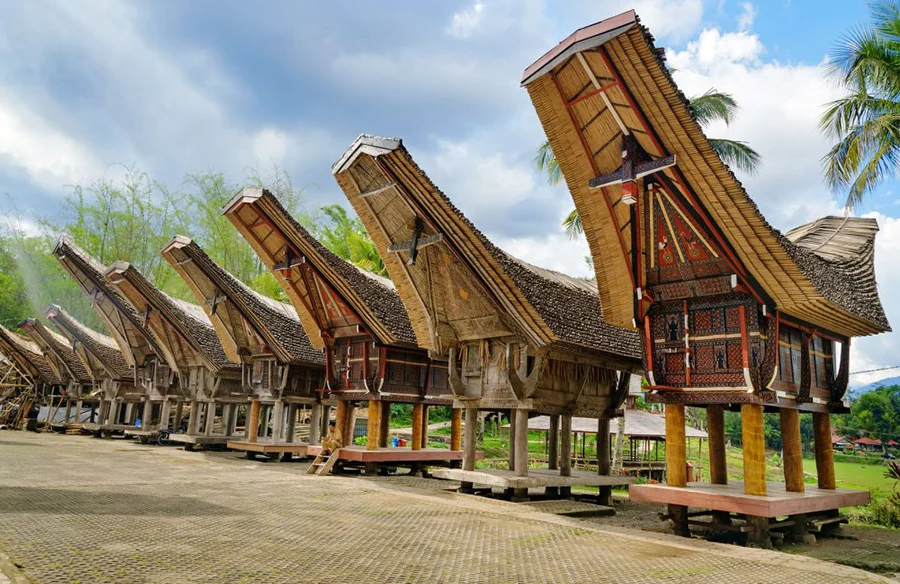 Torajaland Culture Wallacea Tour