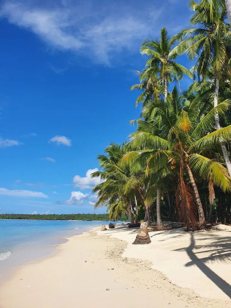 Masilok Island White Sand Beach Coral Reef Snorkeling and Fish Barbecue