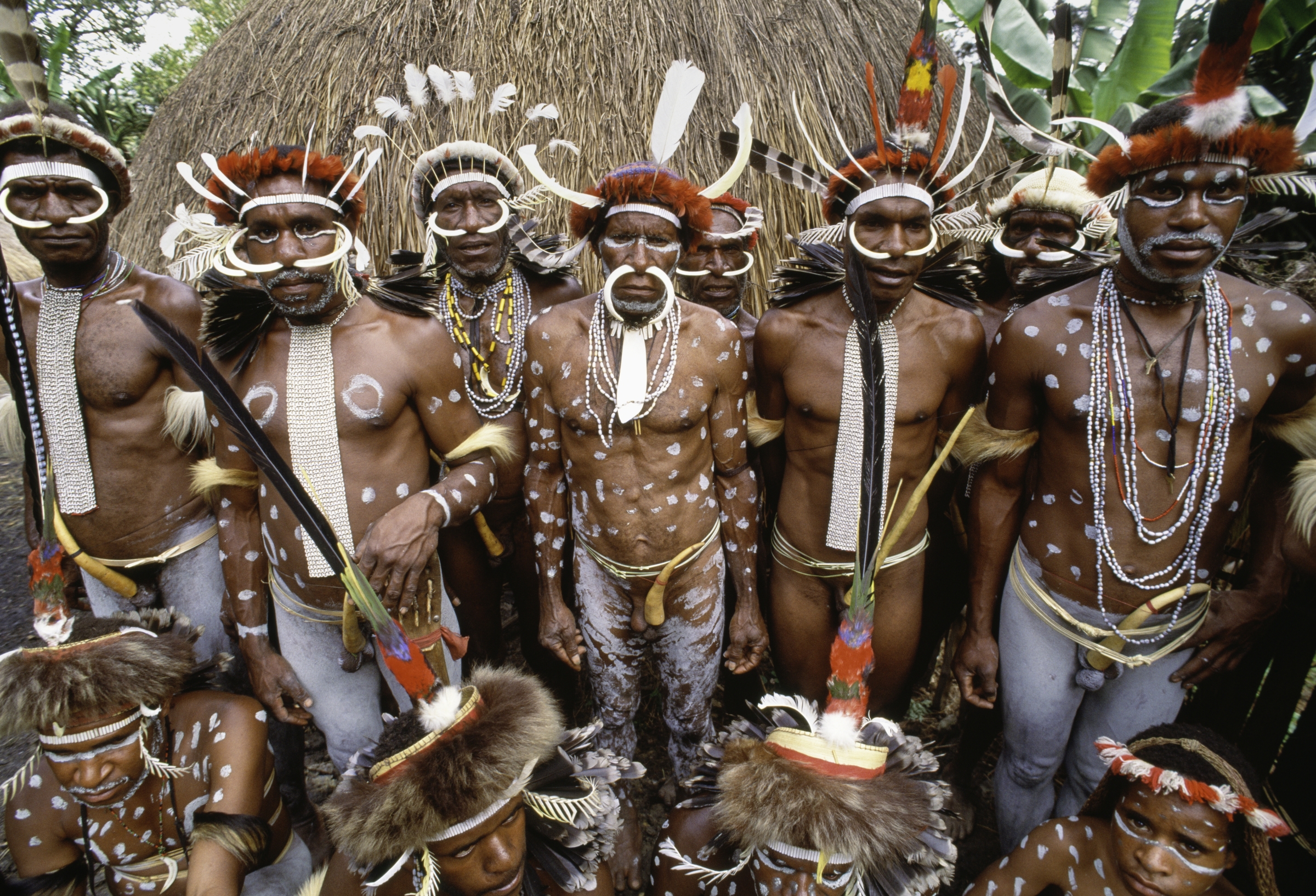 Dani Culture Koteka Papua