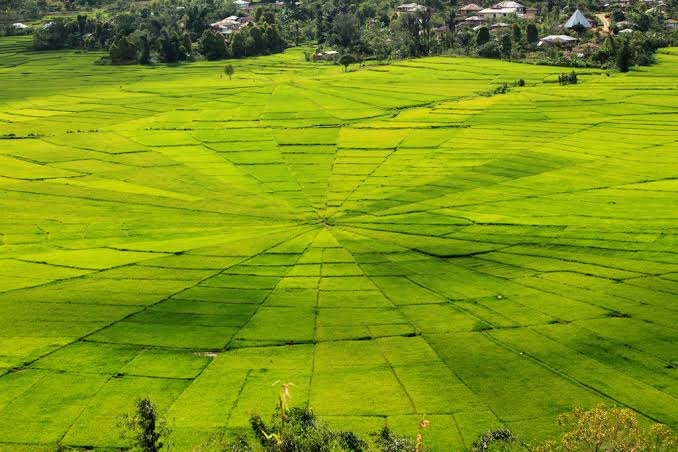 Cancar Spiderweb Rice Fields and Batu Cermin Mirror Cave Labuan Bajo