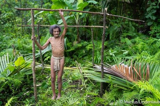Halmahera Togutil Tribe Trekking and Foli Paradise Birdwatching