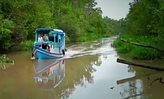 Kumai River Cruise Local Village and Flight to Banjarmasin