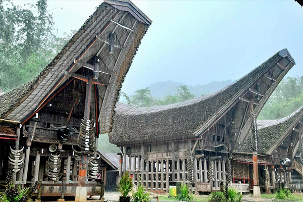 Sulawesi