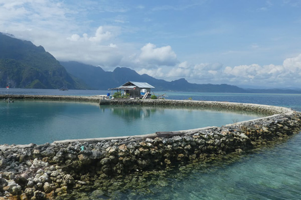Maluku