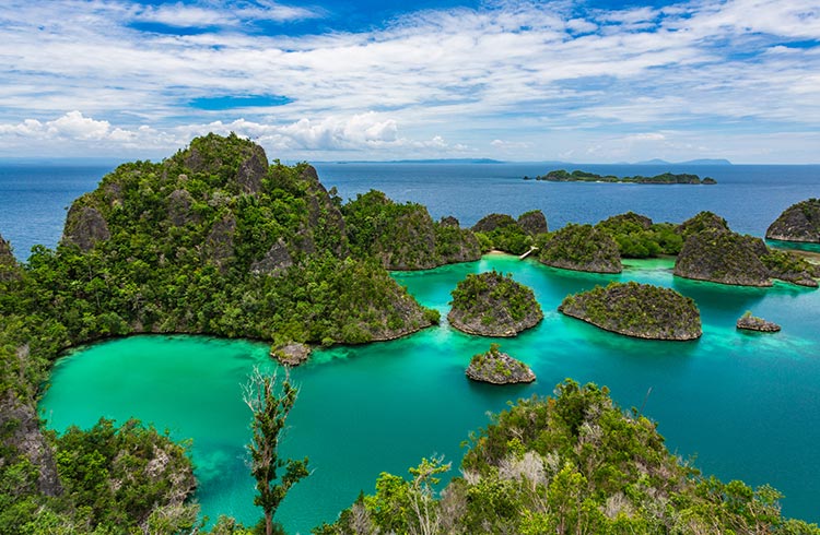 Papua Island Cultural Expedition