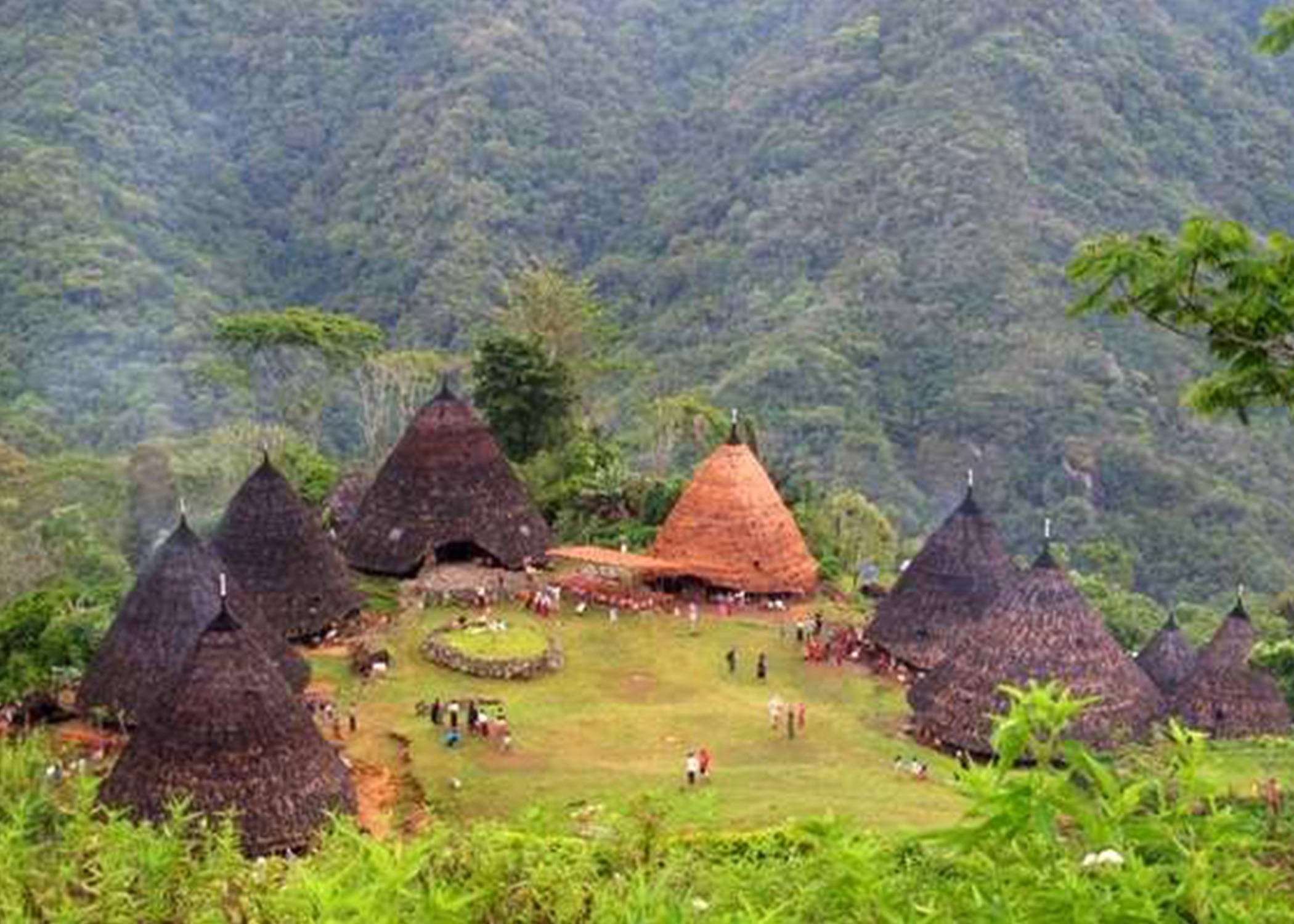 Flores NTT