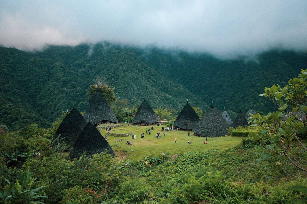 Flores Expedition Wallacea Tour